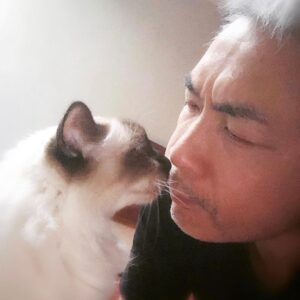 Tay Ping Hui Instagram - Dear Rakshaan, you were magnificently handsome, moved with a princely charm, selective of whom you bestow your affection but yet we became friends on our first meeting.
We shall all miss you so dearly. RIP dear Prince. 

亲爱的Rakshaan，你英俊潇洒，风度翩翩，无时无刻地都在散发贵族气质。你对朋友极度挑剔，但我们却一见如故，成为好朋友。
我会想念你的。安息吧，再见了，我的好王子。一路好走。

#taypinghui #rakshaan #cat #rip