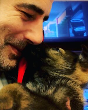 Tayanç Ayaydın Instagram - Yavru kokusunu özlemişim🥰 Missed puppy smell 😍 #yavruköpek #hayvansevgisi #puppylove