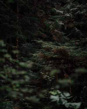 Taylor David Instagram - Wander up to satisfy your soul, not society.

#wanderman #wanderup #breath #dudewithcup #findyourlight 📸 @jenboshan