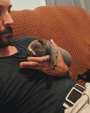 Taylor David Instagram - Happy 5th Birthday my love! Who’s a handsome boy. Let’s go for a wanders @wanderbully #tonguesout #bodhipotamus 

(Last shot is before he grew his fur out)