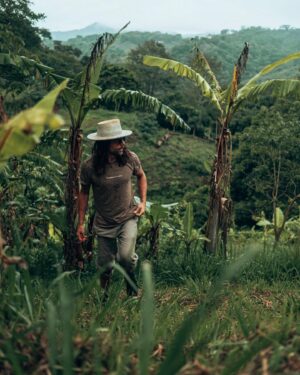 Taylor David Instagram - Wander deep outside your change of values and watch the things you value change inside.

#changementdevaleur #wanderisms #wanderman #jungle #costarica #vincent #zoomout #smplfy #puravida #fujifilm

Shot @justinxshaw 
Hat @coup_de_tete #TheVincent