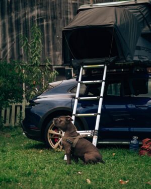 Taylor David Instagram - You don’t have to go far in life, to go up in life. (But a Bodhi and a Porsche helps with the journey ;)

@porschecanada 🇨🇦 Morning Glory Farms 

#75YearsPorsche #DrivenByDreams #SoulElectrified #Taycan4SCrossTurismo