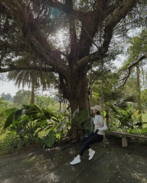 Teresa Instagram - 稍微明白那麼一說
不要怨恨，也不必埋怨
那些可能讓你感到不適的人
那些與你看法不同的人
要給予祝福。

小時候比較憤世嫉俗
可能只會認為那都是虛偽的好意（😅）

如今對這份心意的個人理解是
我們都是來體驗生命的
每個靈魂選擇自己的路
沒有所謂的對與錯

而且，
也許這正是自己需要的一種經驗也不一定？

如果自己已經看見了
而對方還沒領悟的話
那就給予一份祝福。

然後，選擇愛，做最高品質的自己。

而你所付出的，也會回到你身上:-)

#being #純屬個人想法