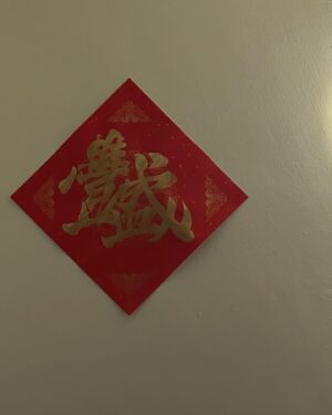 Teresa Instagram - 「內觀的力量」 

近年在生活中經常會感覺自己像分裂成兩個。

一個是身處當下的我，
全心投入面對眼前的事情，
總免不了被情緒所影響心情；

另一個則像是被拉出了一段距離，
像旁觀者卻也像智者，
淡然地觀察事件與狀況的發生並思考。

意識到這件事讓我有機會練習，
在當下做出與以往不同的選擇。

不過初期這種感覺有時候來得突然，轉瞬即逝，
只能提醒自己保持覺察以利每次學習的機會。

我想是因為近幾年對自我成長和心理健康的關注，
能比較敏銳意識到內在反應和外在行為之間的關係吧。

透過持續的內觀和實踐，
我練習在情緒波動中保持冷靜，
重新選擇自己想要的應對方式，
體驗隨之帶來的改變。

當然有些習氣受無意識的影響，
也不是每一次都能順暢無礙，
但我總是包容自己(我最棒我最棒😆)，
告訴自己無需過度壓力，
生活中一定還有機會可以練習！

不過與此同時，
也發現自己對許多事情的反應並不會過於激烈，
甚至表現得有些淡漠？(但心是火熱的)

我想這是我在情感和理性之間取得的平衡，
讓自己更加穩定地應對生活中各種情況，
所以可能也不是一件壞事？吧

體驗的路上充滿各種挑戰和驚喜，
期許自己新的一年保持開放的心態，
繼續為自己的成長旅程感到驕傲！

-

圖是週一在延平館的課 @weflyaerialstudio 

🟤頌缽音療伸展 20:45-21:45 

在溫暖的教室搭配柔和的燈光
隨著缽音讓我們和緩開展身體

祝福一夜好眠🤍

這是一堂非常態的療癒課程
當然希望未來有更多時間能開
如果課表上有，而你也剛好有空
歡迎來一起療癒🤍

PH by 我母親💞❤️‍🔥🧚‍♀️