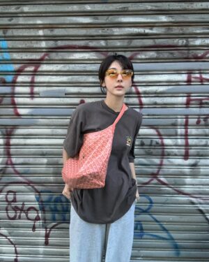 Teresa Instagram - 出發今天的跳舞課 ❥ 

daily style with @goyardofficial 

#goyardhobo
#streetstyleluxe