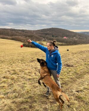 Tereza Bledá Instagram - Play time 🐕

@_marekbaron_ 
#dog #dogs #doglover #doglife #belgianmalinois #belgianmalinoislovers #malinois #malinoislovers #malinoisworld #malinoisdog #nature