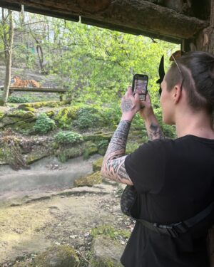 Tereza Bledá Instagram - Turista v ZOO 📸

#zoo #prahazoo #zooprague #prague #animals #animal #animallovers #animallover #tiger #photo #tourism #fun