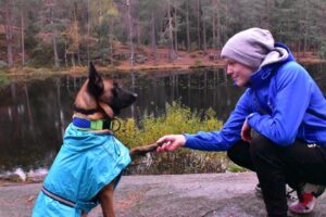 Tereza Bledá Instagram - Parťáci navždy 😍🐕
🇳🇴
@_marekbaron_ 
#dog #dogs #dogslife #doglover #dogsofinstagram #doglovers #doglove #dogtraining #malinois #malinoislovers #malinoisofinstagram #malinoisdog #malinoislove #malinoisdog #malinoislife #belgianmalinois #belgianshepherd #norway #norway🇳🇴 #norwaytravel #norwaytrip
