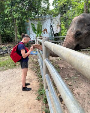 Tereza Bledá Instagram - 🐅🐘🐵❤️

#thailand #tiger #tigers #elephant #elephants #monkey #monkeys #animalfeeding
