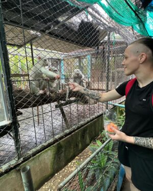 Tereza Bledá Instagram - 🐅🐘🐵❤️

#thailand #tiger #tigers #elephant #elephants #monkey #monkeys #animalfeeding