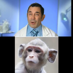 Terry Dubrow Instagram - No explanation needed. #Botched