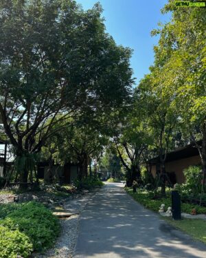 Thanavate Siriwattanakul Instagram - Baan Suan Rim Nam 
บ้านสวนริมน้ำ
…
Watch now on designfun:D
Youtube, Facebook : Gapthanavate 

#gapthanavate #designfund #EKARarchitects
