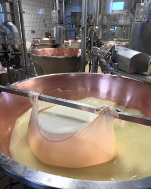 Thanwa Suriyajak Instagram - 🧀 Parmigiano Reggiano! 
มีโอกาสได้มาเที่ยวที่ปาร์มา อิตาลี เลยแวะชมโรงงานชีสที่ดีที่สุดแห่งหนึ่งของโลก ประทับใจมากตั้งแต่การเลี้ยงวัว การทำชีสแต่และขั้นตอนที่ละเอียดอ่อน คนรักการทำอาหารแบบผมต้องไม่พลาด! จะมาลงโพส reel ขั้นตอนให้ทุกคนได้ชมในโพสถัดๆไปนะครับ 😋