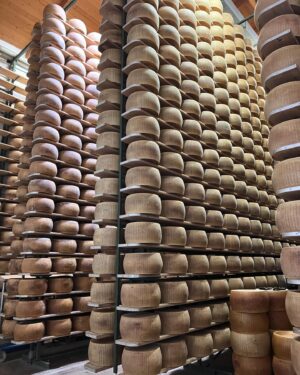 Thanwa Suriyajak Instagram - 🧀 Parmigiano Reggiano! 
มีโอกาสได้มาเที่ยวที่ปาร์มา อิตาลี เลยแวะชมโรงงานชีสที่ดีที่สุดแห่งหนึ่งของโลก ประทับใจมากตั้งแต่การเลี้ยงวัว การทำชีสแต่และขั้นตอนที่ละเอียดอ่อน คนรักการทำอาหารแบบผมต้องไม่พลาด! จะมาลงโพส reel ขั้นตอนให้ทุกคนได้ชมในโพสถัดๆไปนะครับ 😋
