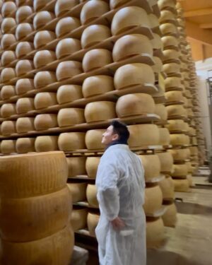 Thanwa Suriyajak Instagram - 🧀 Parmigiano Reggiano! 
มีโอกาสได้มาเที่ยวที่ปาร์มา อิตาลี เลยแวะชมโรงงานชีสที่ดีที่สุดแห่งหนึ่งของโลก ประทับใจมากตั้งแต่การเลี้ยงวัว การทำชีสแต่และขั้นตอนที่ละเอียดอ่อน คนรักการทำอาหารแบบผมต้องไม่พลาด! จะมาลงโพส reel ขั้นตอนให้ทุกคนได้ชมในโพสถัดๆไปนะครับ 😋