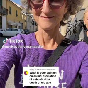 That Vegan Teacher Instagram - 