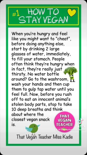 That Vegan Teacher Instagram - 