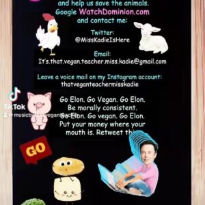 That Vegan Teacher Instagram - #elon #elonmusk #elonmuskquotes #elonmuskmotivation #elonmuskisagenius #elonmuskmemes #elonmuskisabeast #thatveganteacher #thatveganteachermisskadie #thatveganteacherishere #thatveganteacherwhosings #thatveganteacherwhocomposessongs