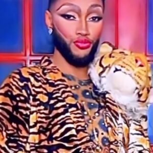 The Vixen Instagram - Watch your step 🐾