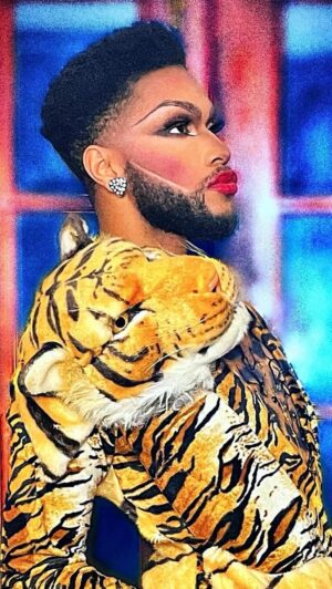 The Vixen Instagram - 🐯 Heads or tails? 🐾