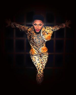 The Vixen Instagram - Let’s go little kitty cat 🐱