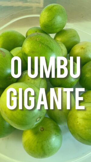Thiago Almasy Instagram - Duvido que seus problemas sejam maiores que os umbus do @vinifrutas 👍🏽