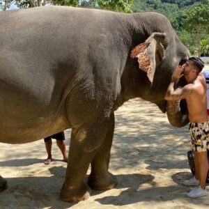 Thomas Adamandopoulos Instagram - J’ai toujours kiffer parler aux oreilles des éléphants 🐘🤣 un voyage énorme en Thaïlande les @anges_tv 13 belle destination avec des souvenirs énormes ( quand on pouvait encore voyager 😢 ) on rattrapera le temps perdu va... Courage à tous !!! #Travel #LesAnges12 #Thailande #TvShow #Love #Babar #Goal #Mood #Sun #Summer #Fuck #Covid