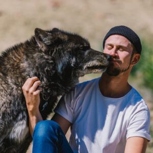 Thomas Brag Instagram - The emotional roller coaster of getting licked in the face by a wolf…

A few weeks ago we spent 3 days living alongside these amazing creatures and earning their trust. I have to admit that that was not easy for me.

As I was trying to control my fear (that they can sense on us), it took me a while to truly calm down and for them to finally come up this close to me.

Locking eyes with a wolf’s big yellow eyes and truly trusting him felt like a spiritual experience. Surrendering to Mother Nature, connecting with our inherent ability to befriend our fellow earthlings and feeling safe alongside them.

In many ways it felt like reconnecting with an ancient friendship. Lost and forgotten over the thousands of years as we domesticated their cousins. I hope that our story today on YouTube can change our collective perspective about these animals and move towards greater protection for them to continue existing and thriving alongside us on this planet.

Thank you to @apexprotectionproject for letting us into this world 🐺