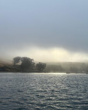 Thomas McDonell Instagram - Before Boron, Tomales Bay a few days ago