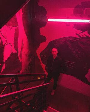 Thomas Middleditch Instagram - Stairwell goblin.