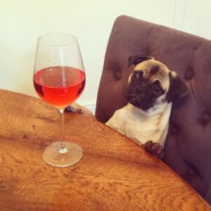 Thomas Ridgewell Instagram - Squidge is a relatable meme.