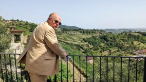 Thomas Ridgewell Instagram - There's nothing quite like getting a freshly tailored suit, flying to Italy with your loved ones, and only as you're pulling into the carpark of a beautiful vineyard for your cousin's picturesque wedding realising that you're not wearing your brand new leather shoes but your dirty checkered vans #relatable