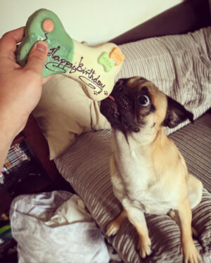 Thomas Ridgewell Instagram - Happy 1st birthday to my horrendously deformed son!