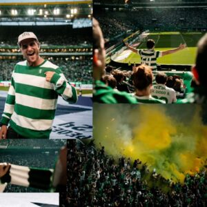 Tiago Teotónio Pereira Instagram - Ontem foi mais um dia de festa em Alvalade! VIVA O @sportingcp !!! 💚💚

OBRIGADO pela experiência @betclicportugal 🙌