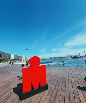 Tiago Teotónio Pereira Instagram - IRONMAN 70.3 VALENCIA em modo lua de mel