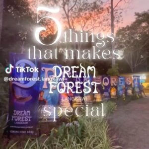 Tiara Jacquelina Instagram - I just love telling stories, in different mediums... aside from on film or on stage, I've discovered the magic in bringing together folklore, Mother Nature and technology in one immersive experience. 🌳🎭💻

How many of you have checked out Dream Forest in Langkawi? I just wanna say thank you for all your love and support, okay? I continue to create and dream every day because of YOU! ❤️🙏 #DreamForest #Langkawi #Storytelling #ImmersiveExperience