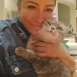 Tiara Jacquelina Instagram - This is our elegant Pebble, the Grand Dame of the cat empire in our home. Mother to Ash, Dusty and Nickel, Grandma to Chestnut, Baby, Simba and Twee, Great Grandma to Tangerine, and GREAT GREAT grandma to Raya!

@tjsfurbies #TJsCatPebble #britishshorthair #catmom #catlover #TJsFurbies #catstagram #instacat