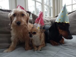Til Schweiger Instagram - Happy Birthday, Luna! We love u from here to the moon!❤️❤️❤️