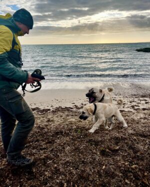 Til Schweiger Instagram - Edgar & Babo mit Jami dem Hundesausbilder❤️Bester Mann! Wer Hilfe braucht mit seinem Vierbeiner- einfach bei ihm melden! Der Mann ist der Wahnsinn!❤️👏🏻💪🏻