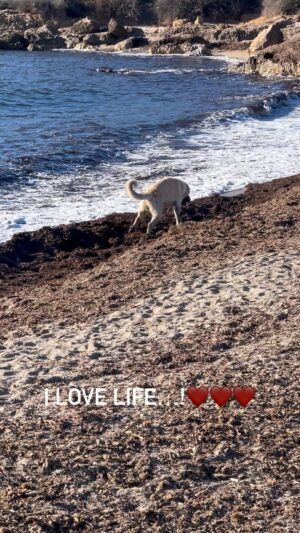 Til Schweiger Instagram - Edgar❤️