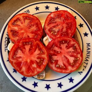 Tim Daly Instagram - HUMANS!!! How do you know when you've eaten too many tomato sandwiches? My garden just won't quit!🍅