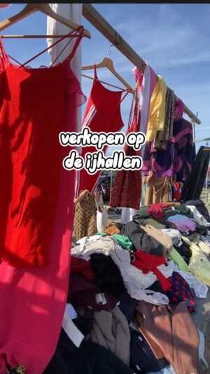 Titia Hoogendoorn Instagram - Mijn verwachting was dat ik 200  euro zou verdienen. 😬 #ijhallen