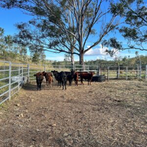 Toby Price Instagram - Work in progress. Farming tips welcome 😂😂