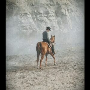 Tom Blyth Instagram - That right there is my boy “Weepy Eyed” Bill. Trustiest of all the trusty steeds. He held my life safely in his hooves during several gnarly stunt sequences. Craziest part is, he’s the only horse who wasn’t even a trained movie/TV horse. He’s just got that natural talent. 
Anyway, go watch the Season 1 finale of @billythekidepix if you haven’t yet. It’s mind blowingly cinematic and thrilling. I’m so proud of our team @epix @mgmstudios @amblin