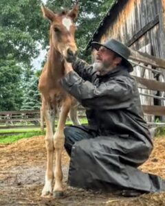 Actor Tom Green HD Instagram Photos and Wallpapers July 2024