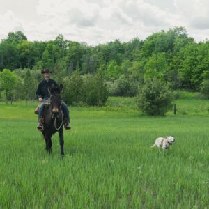 Tom Green Instagram - This week at the farm