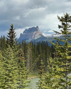 Tom Green Instagram - Alberta Canada Now 🇨🇦