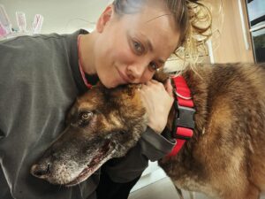 Tom Pelphrey Instagram - I had to say goodbye to my guy. 

I got Blue on Xmas eve, 2018.  Blue had been at a rescue for over a year, and in that time had been adopted and returned at least 3x, fostered and returned at least as many.  He was living in a kennel and “too aggressive” to have a home. 

I knew this was my guy.  Blue and I got to work Day 1…. long walks, training sessions, stability, repetition.  Love.  A lot of love.  He was the most beautiful dog I’ve ever seen.  It was slow going at first… I wasn’t sure if I would be able to have people to my apartment ever again- I didn’t care.  A month after I got him the kind lady who owned the rescue called me to check on Blue.  I told her 
“We have work to do but he’s smart and he’s a great dog”
“So you’re keeping him?”
“Of course I am”
She broke down crying on the phone. 

Blue went everywhere with me.  I stopped flying for work- I drove to every job with Blue.  All over the country and back.  In our years together I often wondered if he even thought we had a “home”- we were constantly on to a new job and a new city.  The only constant was that we were always together.  ALWAYS.  He was my home.  And I was his. 

6 months later he was friends with my friends.  A year later and Blue was almost unrecognizable.  He was always my sweet Blue to me… now he was just more Blue, less Fear.  It’s amazing what some love and stability can accomplish.  Blue was teaching me, and I didn’t really know it yet. 

Two years ago I met Kaley and everything changed.  We had a family!  We settled into a home.  And the fearsome, snarling Blue became the most gentle ‘Shepard’. He came into a family full of small dogs 1/10 of his size, and he was patient and loving with all of them.  He played ball with our baby girl Matilda… he played more gently and softly with her than the most cautious parent.  He saw we were settled, he saw that I had learned the lessons I thought I was teaching him… 

He was by my side the entire time (literally)… protecting me and guiding me into a new, fuller life.  I guess that’s what Shepards do.  I held him at the end. 

I’m heartbroken.  I’m full of gratitude to God for every second with one of His angels. 💙🙏💙🙏💙🙏💙