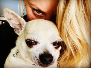 Tom Pelphrey Instagram - Heavy heart today.  We had to say goodbye to one of our pack.  DUMP TRUCK aka Dumpy was kind of a legend.  He ignored me for the first six months I knew him.  But slowly, he let me carry him.  Pet him.  Give him 2nd dinner.  Give him 3rd dinner.  He would stay up late with me and we would do midnight snack.  And by the end he was my guy- and he let me hold him and cuddle him and he always gave me kisses.  He really was a special dog.  What he lacked in size he more than made up for in personality.  And in a house FULL of personality- Dumpy was 👑. @kaleycuoco ♥️♥️♥️♥️♥️