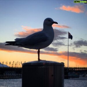 Tom Scott Instagram - Mine